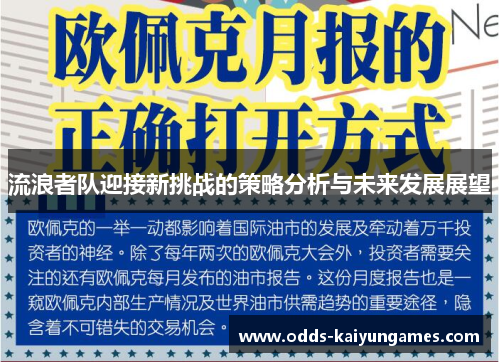 流浪者队迎接新挑战的策略分析与未来发展展望