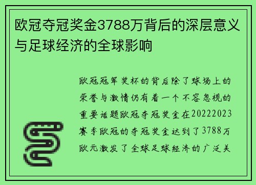 欧冠夺冠奖金3788万背后的深层意义与足球经济的全球影响