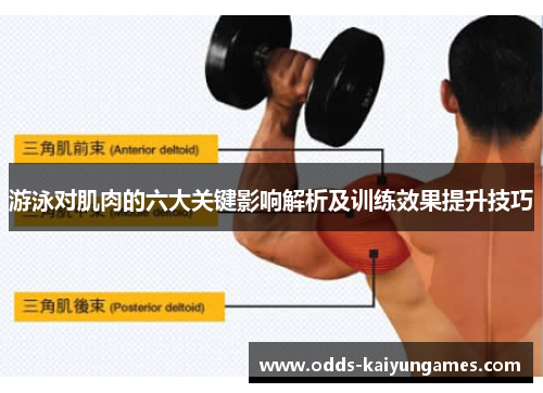 游泳对肌肉的六大关键影响解析及训练效果提升技巧