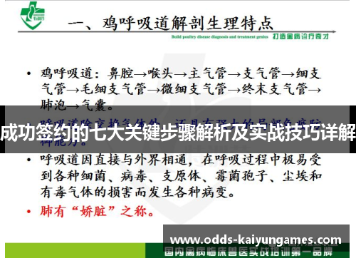 成功签约的七大关键步骤解析及实战技巧详解