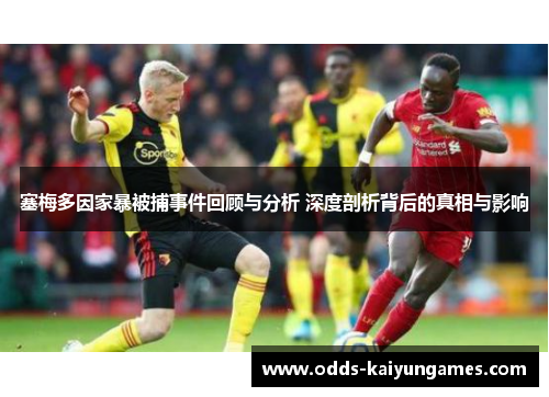 塞梅多因家暴被捕事件回顾与分析 深度剖析背后的真相与影响