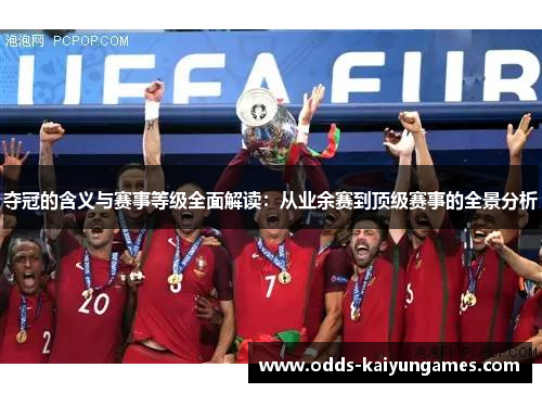 夺冠的含义与赛事等级全面解读：从业余赛到顶级赛事的全景分析