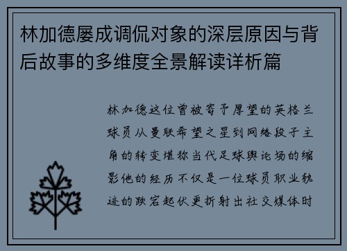 林加德屡成调侃对象的深层原因与背后故事的多维度全景解读详析篇
