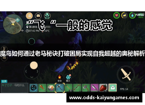 魔鸟如何通过老马秘诀打破困局实现自我超越的奥秘解析